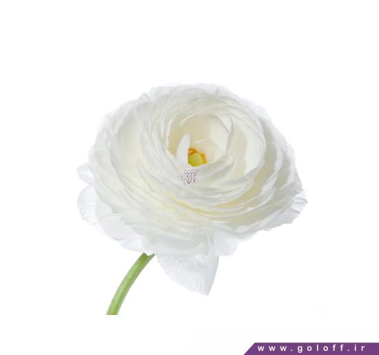 گل اینترنتی - گل آلاله بوریکا - Ranunculus | گل آف